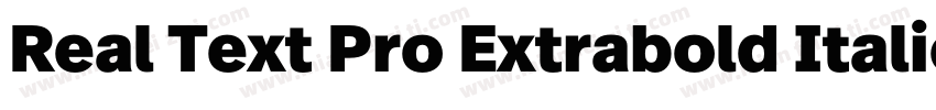 Real Text Pro Extrabold Italic字体转换